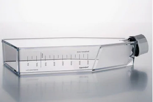 德國(guó)艾本德(Eppendorf)Cell Culture FlasksT-175,無(wú)菌無(wú)熱原,無(wú)RNase和DNase,無(wú)人類和細(xì)菌DNA,無(wú)細(xì)胞毒素,帶密封蓋,未處理,30.0mL